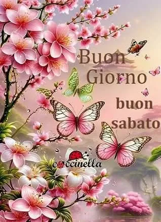 Risveglio sereno con l’alba del 31 maggio